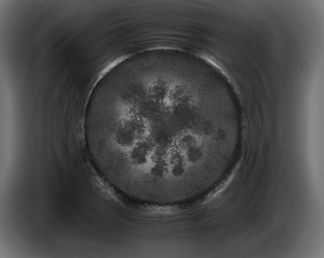 X0000087671121200705041005