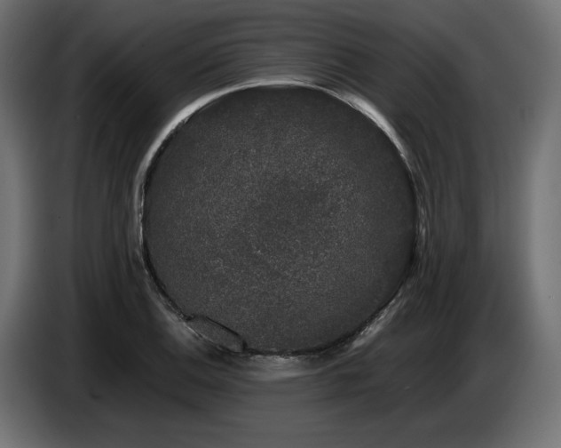 X0000087671124200705041005