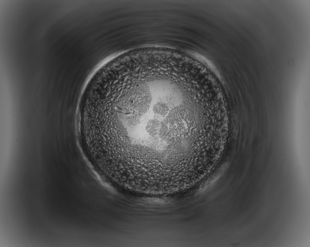 X0000087671125200705041005