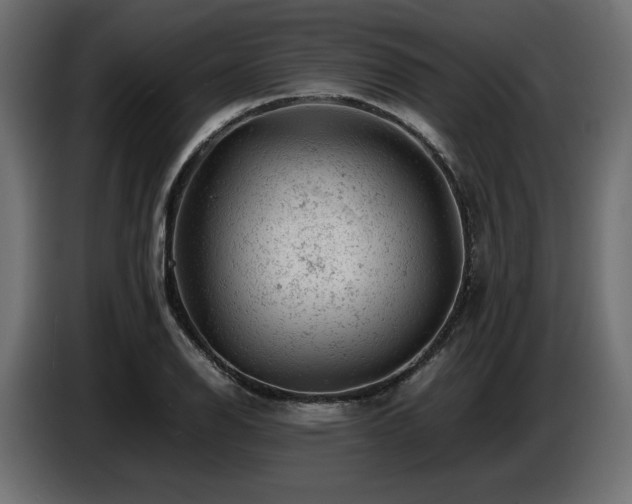 X0000087671126200705041005