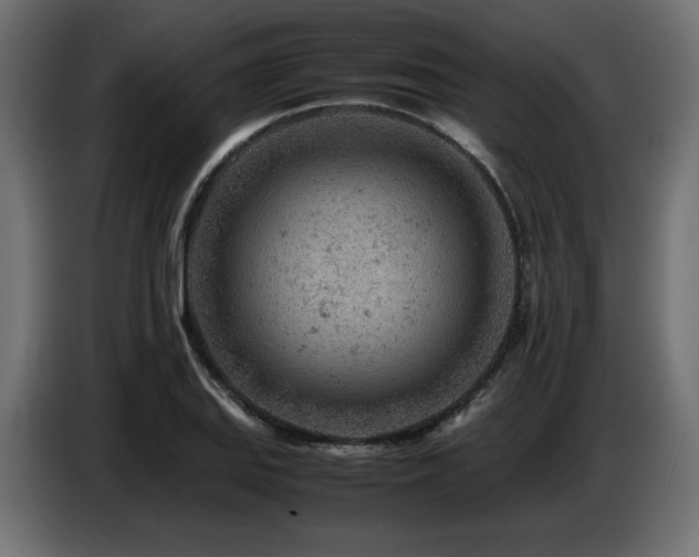 X0000087671127200705041005