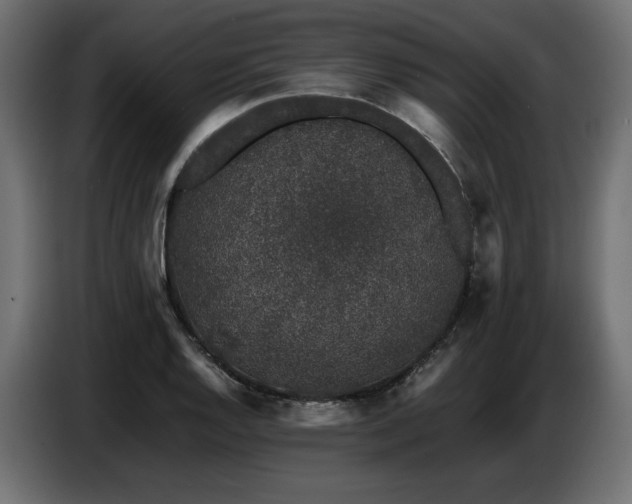 X0000087671128200705041005