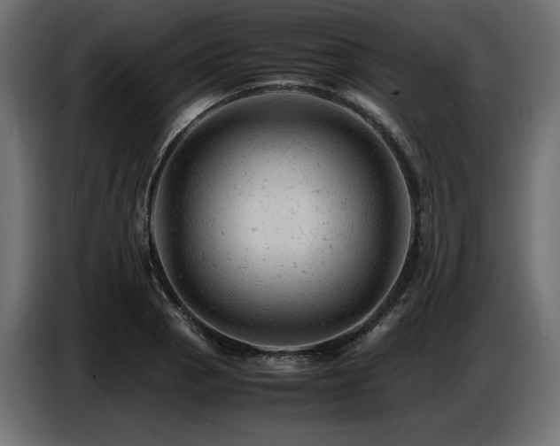 X0000087671129200705041005