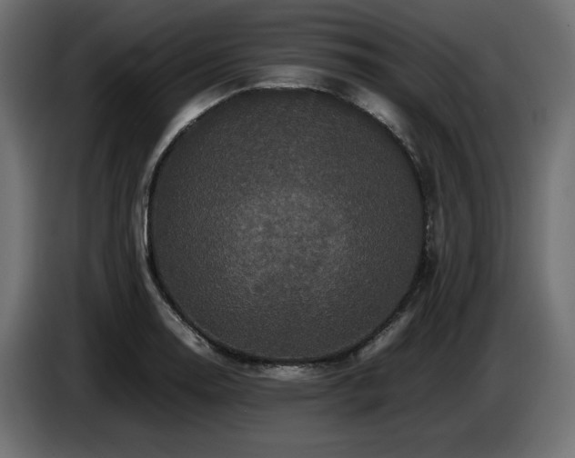 X0000087671130200705041005