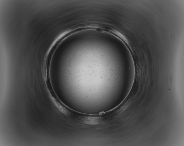 X0000087671131200705041005