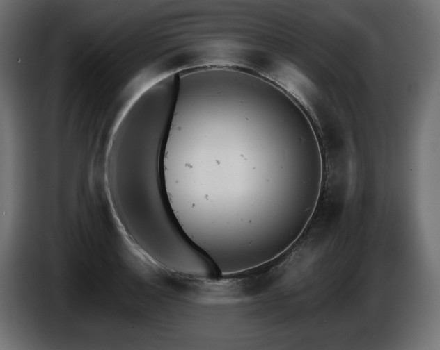 X0000087671132200705041005