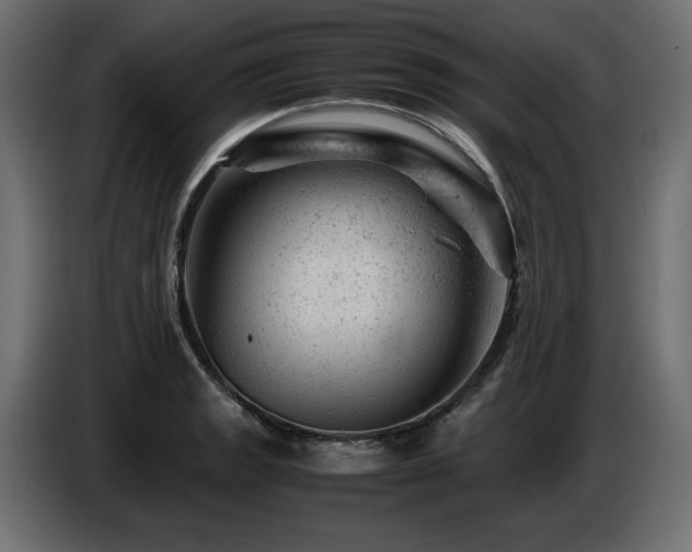 X0000087671133200705041005