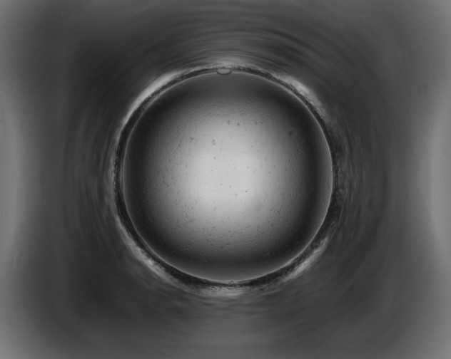 X0000087671134200705041005