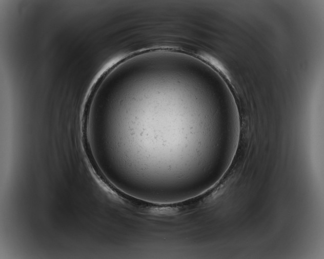 X0000087671135200705041006