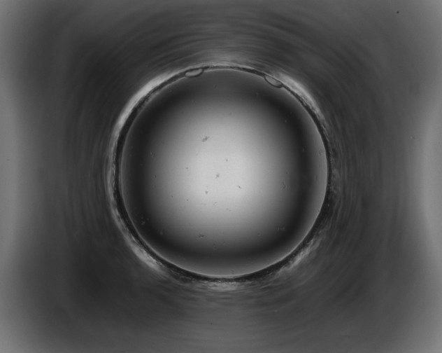 X0000087671136200705041006