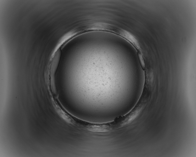 X0000087671138200705041006