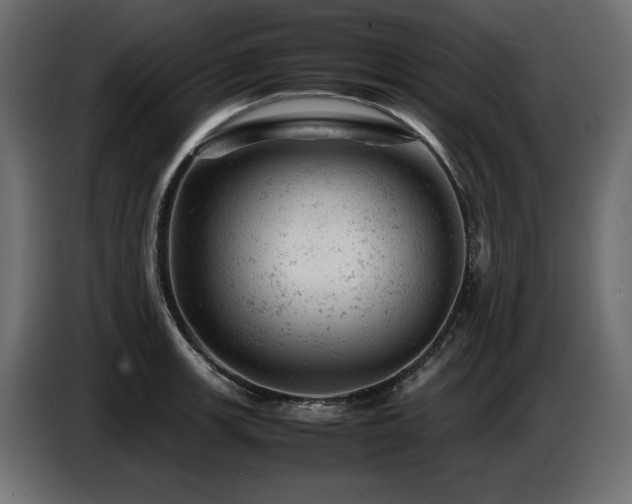 X0000087671139200705041006