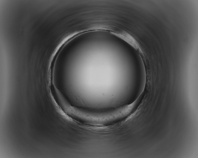 X0000087671140200705041006