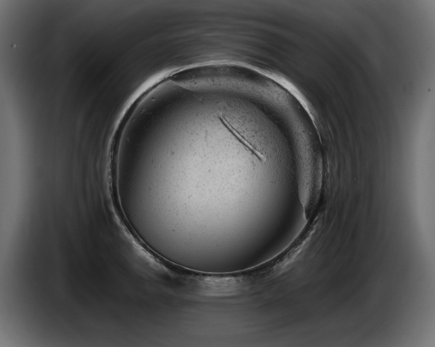 X0000087671142200705041006