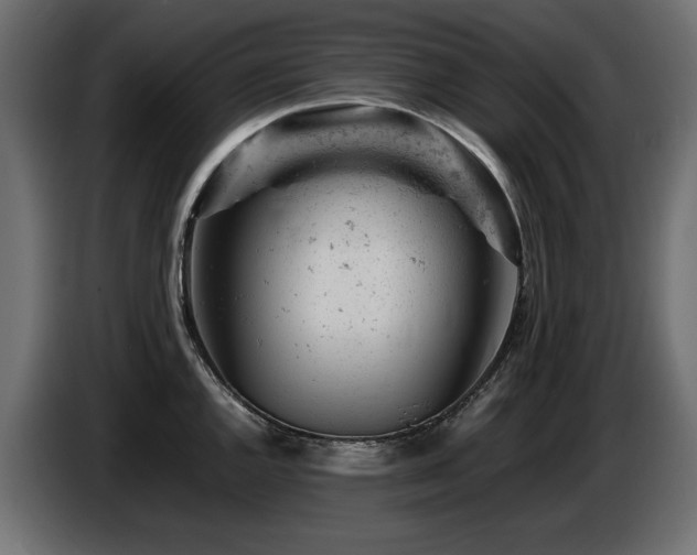 X0000087671144200705041006