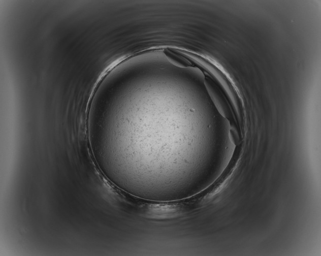 X0000087671145200705041006