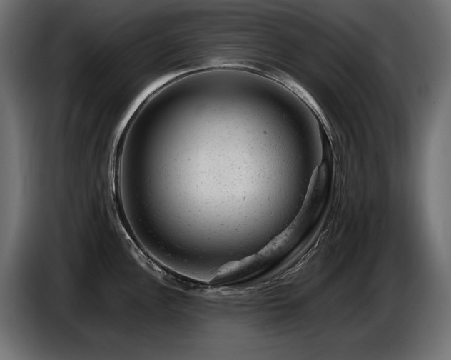 X0000087671148200705041006