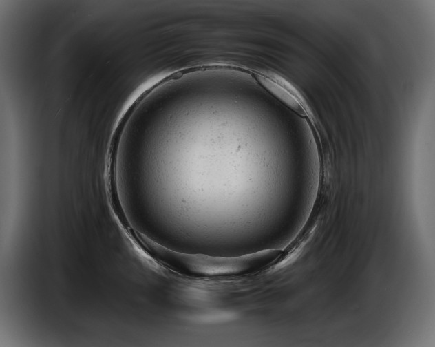 X0000087671149200705041006