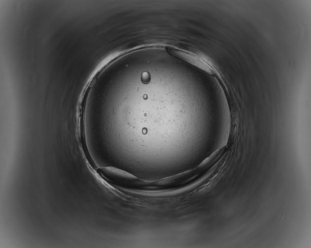 X0000087671151200705041006