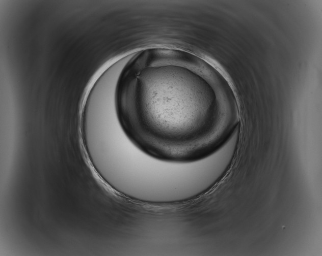 X0000087671152200705041006