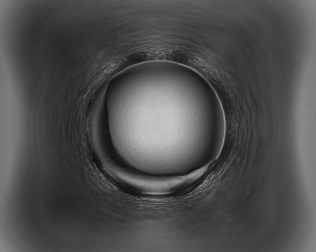 X0000087671153200705041005