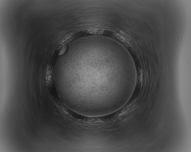 X0000087671154200705041005