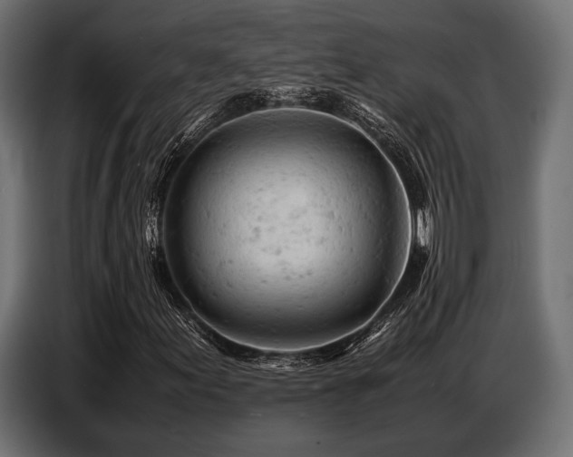 X0000087671155200705041005