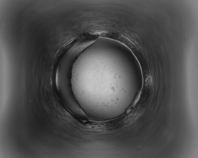 X0000087671156200705041005