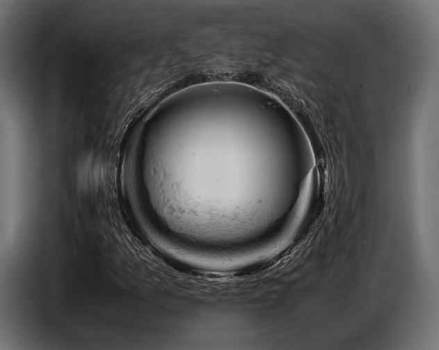 X0000087671157200705041005