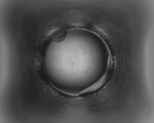 X0000087671158200705041005