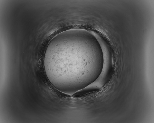 X0000087671159200705041005