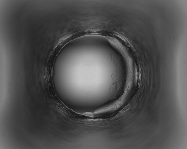 X0000087671160200705041005