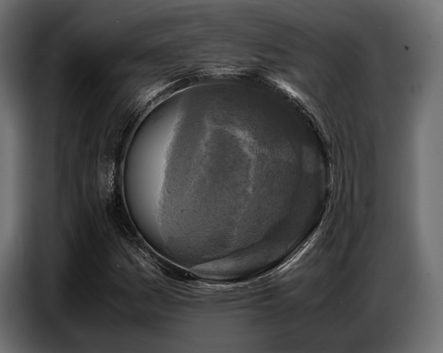 X0000087671161200705041005