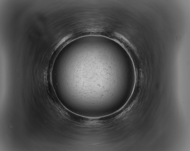 X0000087671162200705041005