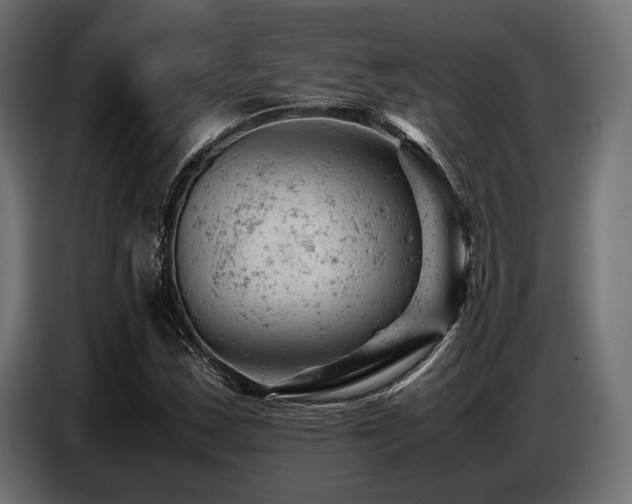 X0000087671163200705041005