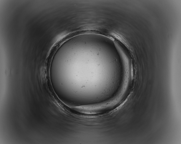 X0000087671164200705041005