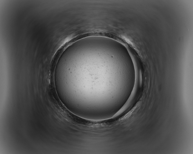 X0000087671165200705041005