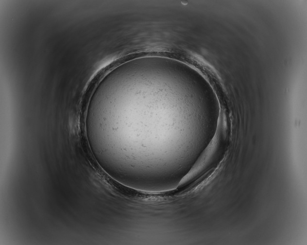 X0000087671166200705041005