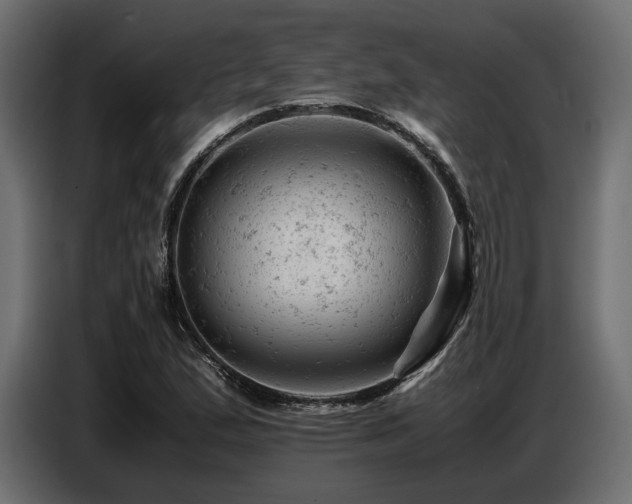 X0000087671167200705041005