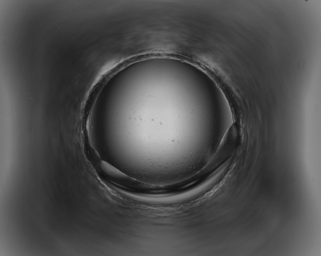 X0000087671168200705041005