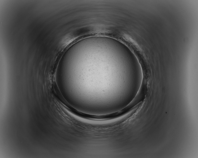 X0000087671169200705041005