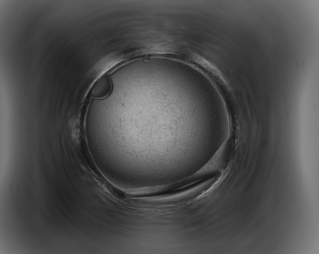 X0000087671170200705041005