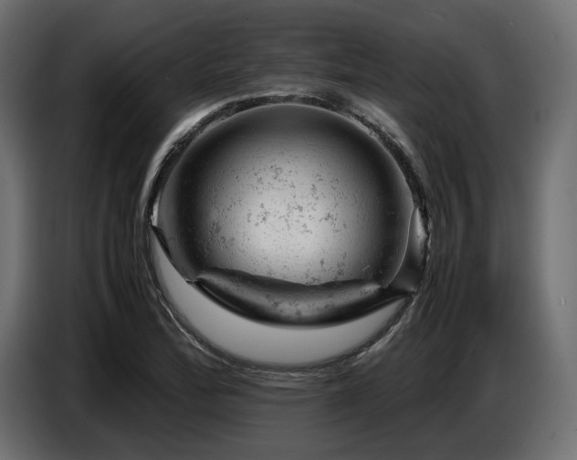 X0000087671172200705041005