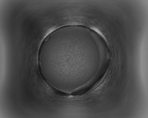 X0000087671173200705041005