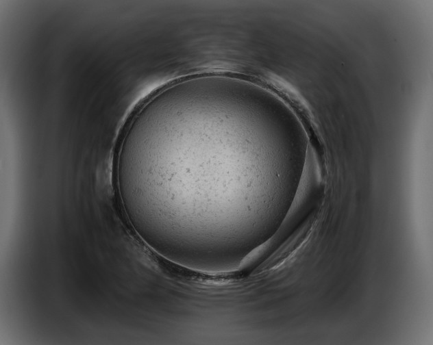 X0000087671174200705041005