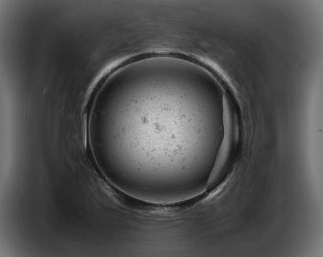 X0000087671175200705041005