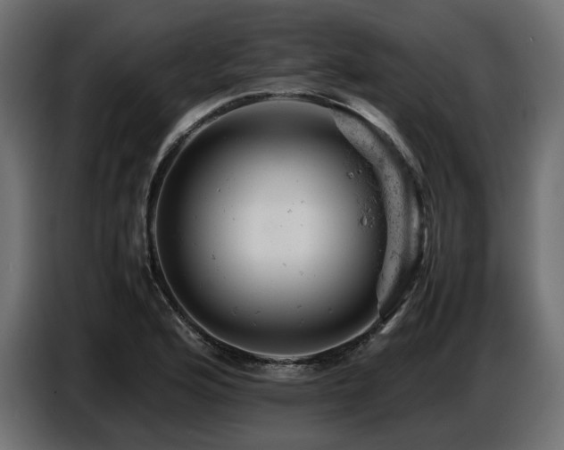 X0000087671176200705041005