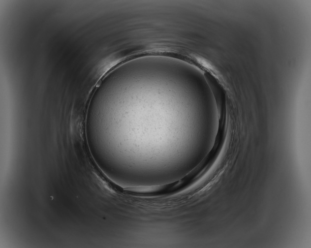 X0000087671177200705041005