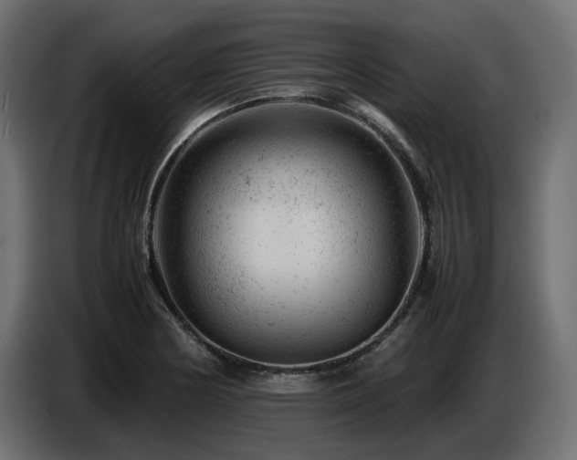 X0000087671178200705041005