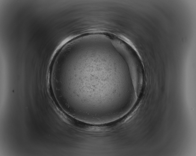 X0000087671179200705041005